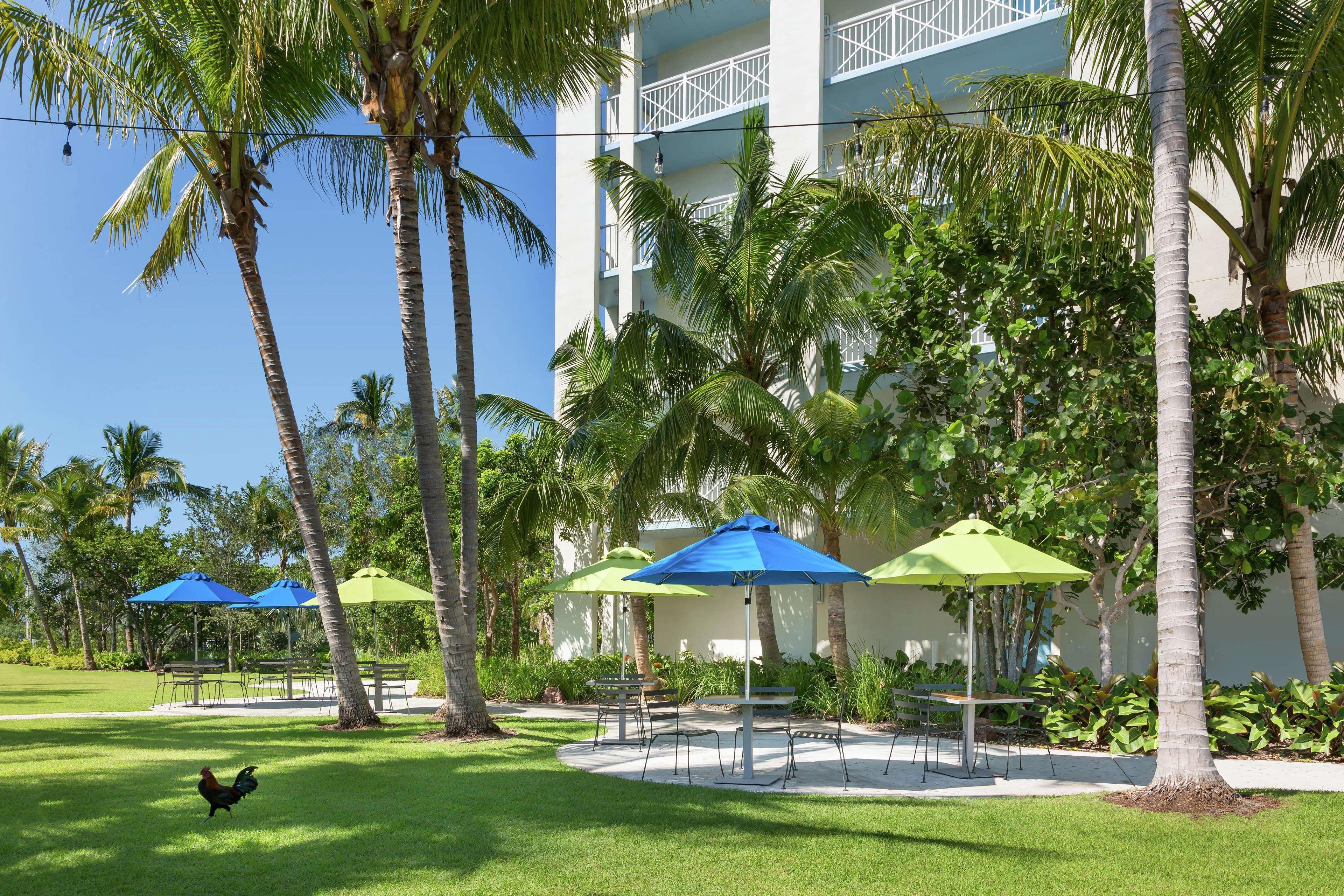Hilton Garden Inn Key West / The Keys Collection Экстерьер фото